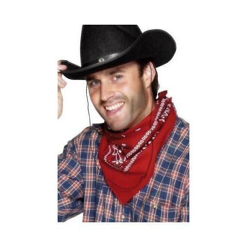 Cowboy indian western - cowboy,