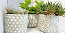 Set of 3 Concrete Pots Indoor Outdoor Plant Flower Pot Holder Home Decoration
