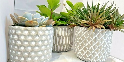 Set concrete pots - of,