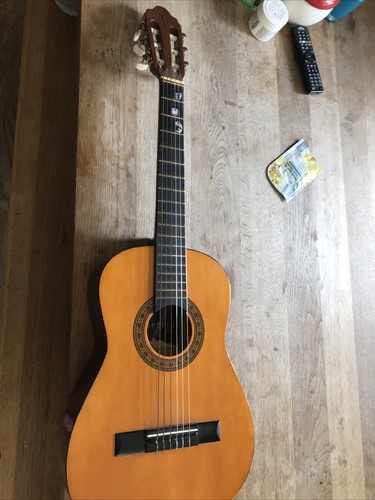 Acoustic guitar - acoustic,