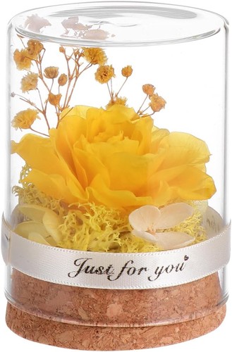 Yardwe immortal flower glass - yardwe,