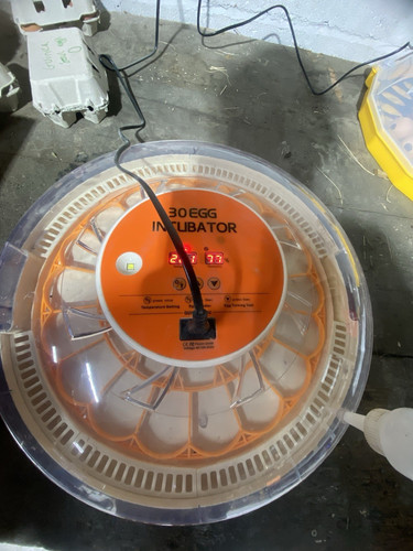 Egg incubator hatcher - 30,