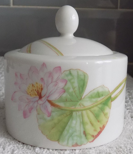 Royal doulton water - doulton,