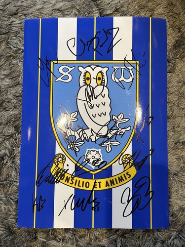 Sheffield wednesday signed - wednesday,