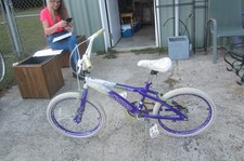 AVIGO SHEER FUN 20'' TIRE