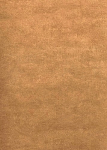 587003 tim wilman orange - 587003,