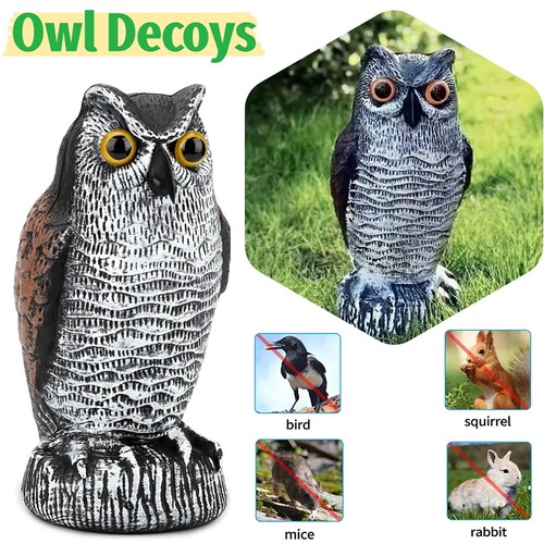 Owl decoy statue - owl,