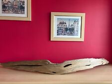 Very large sweeping split chestnut branch, vivarium hide