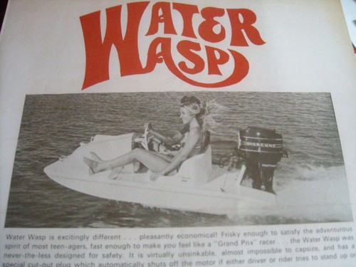 1968 vintage water wasp - 1968,