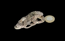 Taxidermy Tiny Corn Snake