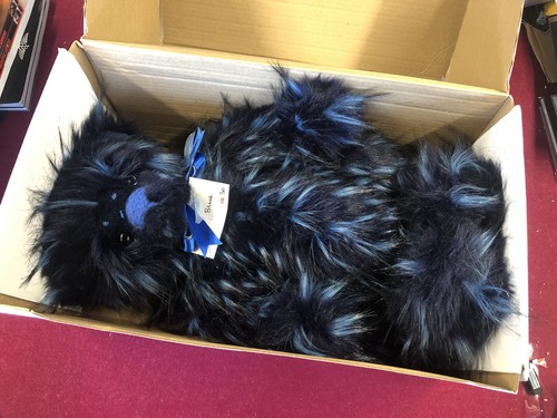Kaycee bears rare - kaycee, 15”