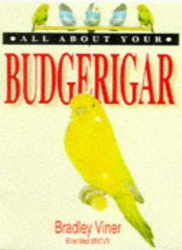 All about your - all,
