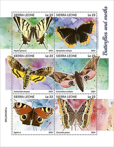 Butterflies moths butterfly - &,