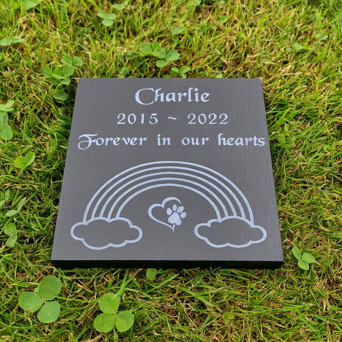Personalised stone pet - stone,