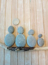 20 small flat beach pebbles sea stones rounded 10-15mm art crafts smooth pebble