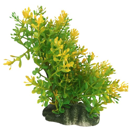 Swell aquarium decoration - swell,