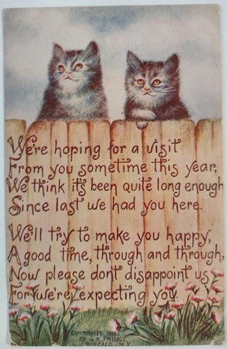 Vintage cats postcard artist - vintage,