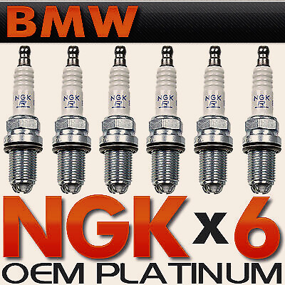Ngk double platinum spark - double,