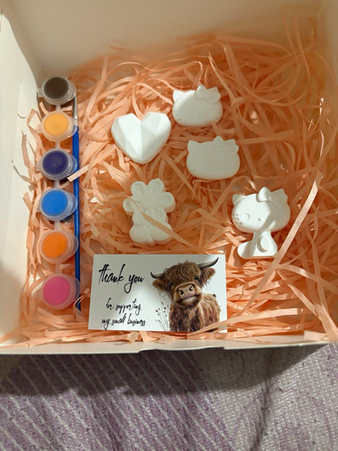 Paint your own kids plaster - paint,