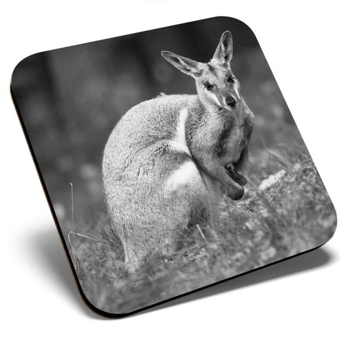 Square single coaster - square,