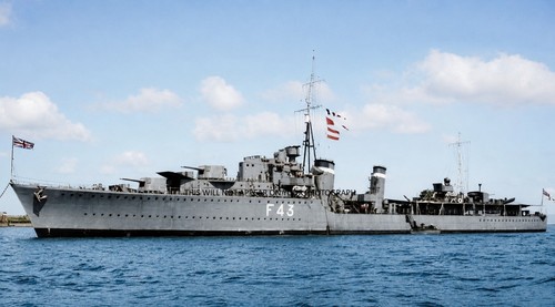 Royal navy tribal - royal,