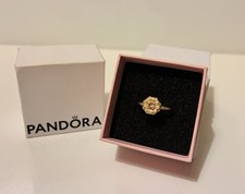 Pandora Pink Blooming Dahlia