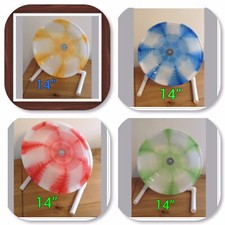 14” AFRICAN PYGMY HEDGEHOG