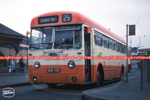 Bus photo selnec southern - photo,