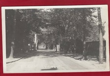  Unidentified  Beech Avenue