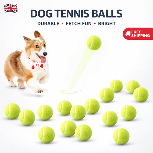 Pack dog tennis balls - 12,