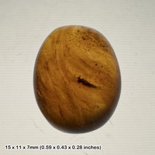 Burmese cretaceous amber with