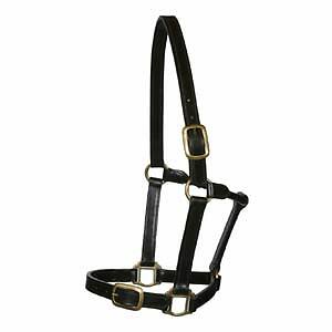 English stitched leather - english,