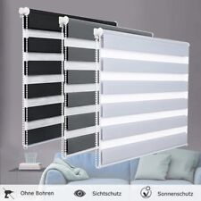 Day and Night Zebra/Vision