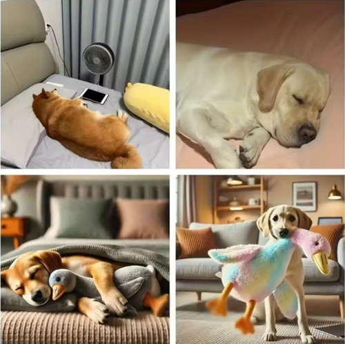 50cm cute duck dog - cute, soft