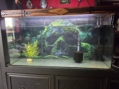 Large aquarium full setup - full,