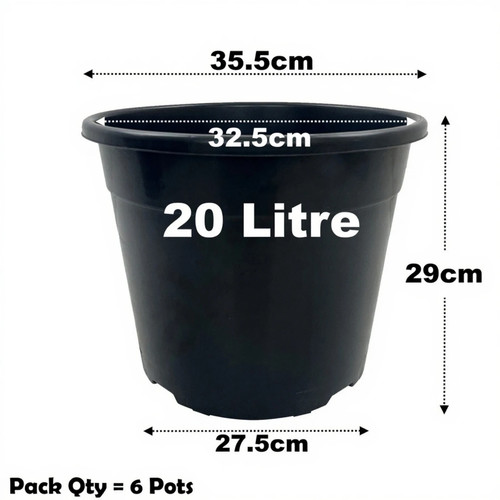 Litre black plant - plant, pots