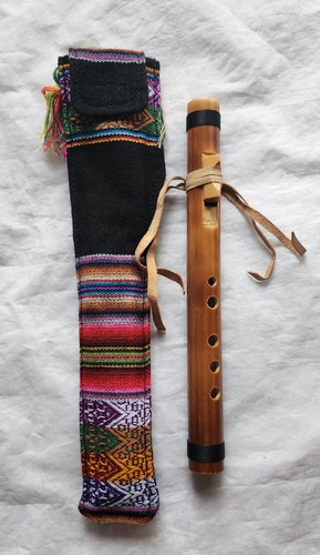 Professional peruvian indian - peruvian,