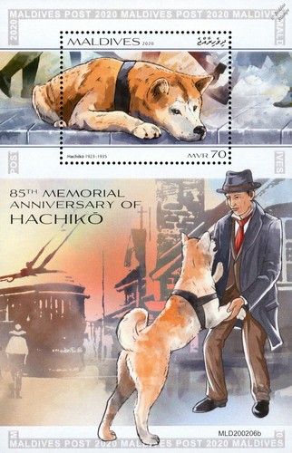 Dogs japanese akita hachikō - (japanese,