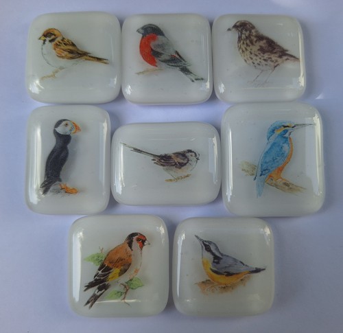 Fused glass birds fridge - 8, uk