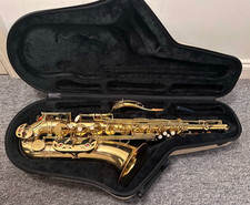 Tenor saxophone plays - tenor, well
