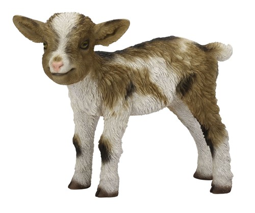 Vivid arts goat kid - arts,