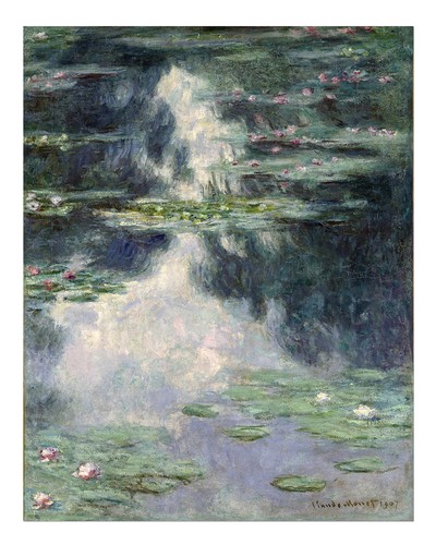 Monet water lilies wall art - water,