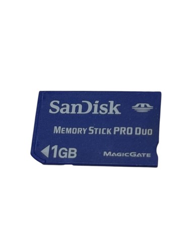 1gb sandisk memory - 1gb, pro