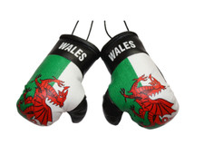 Wales/Welsh Mini Boxing Gloves