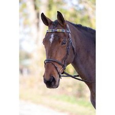Blenheim Leather Polo Browband in Purple