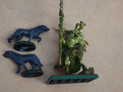 Warhammer wood elves - , painted