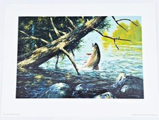 Wildwater Brook Trout Print George L Schelling Signed & Numbered 16.5 " x 22"