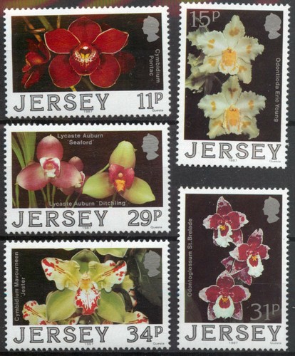 Jersey 1988 orchids 2nd - jersey,