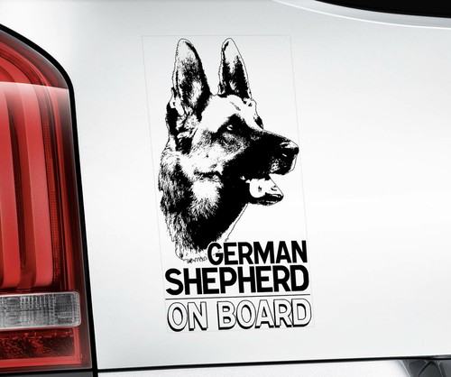 German shepherd board car - shepherd, board,