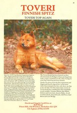 FINNISH SPITZ DOG BREED KENNEL